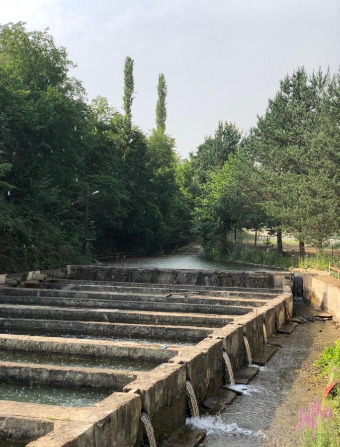 Agara Pansiyon Bostanci Exterior photo